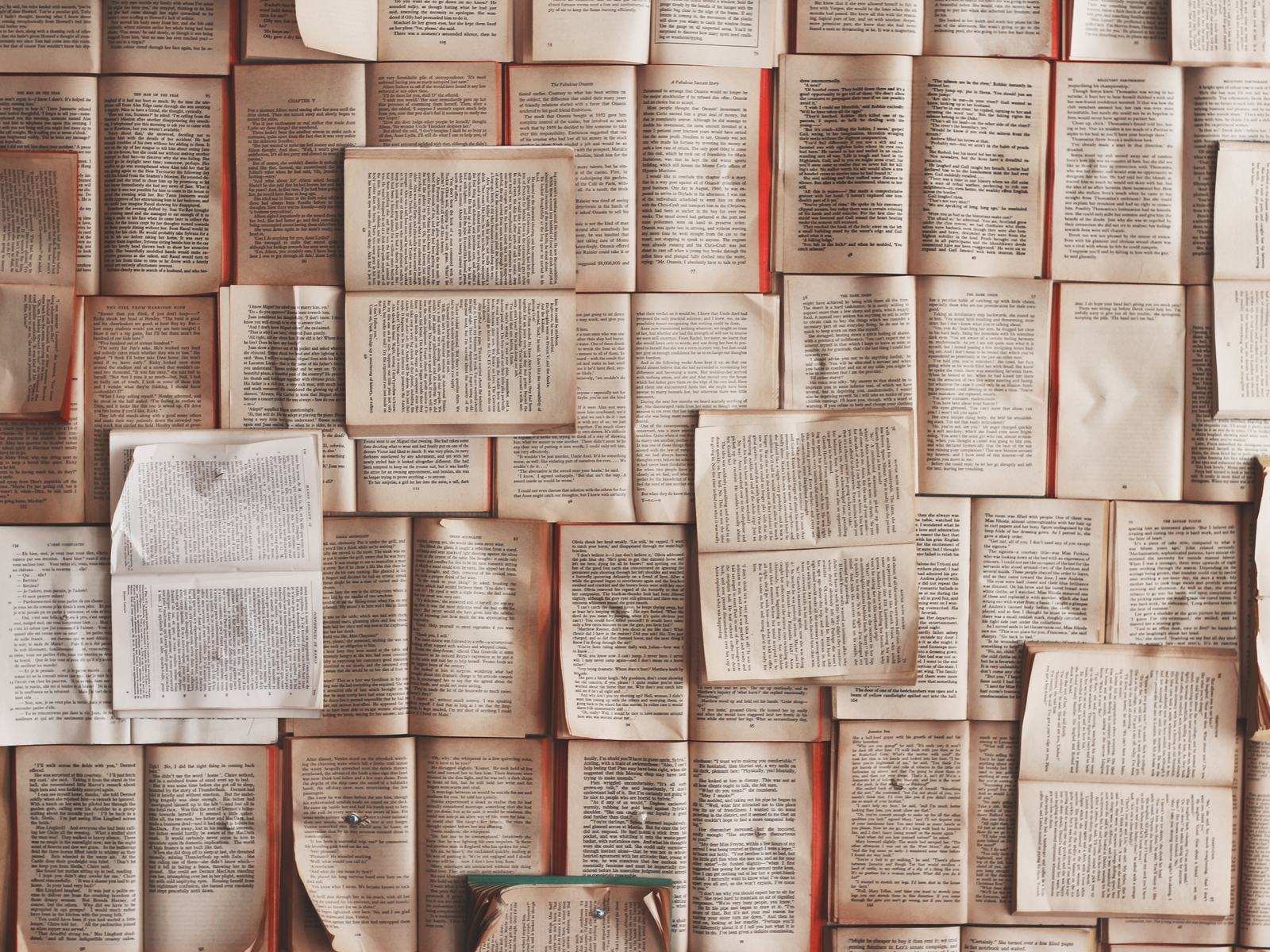 Open book pages laid out side by side